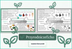 Sketchnotka/notatka „W królestwie zwierząt” w pdf. Biologia. Klasa 6. Dział „Świat zwierząt”.