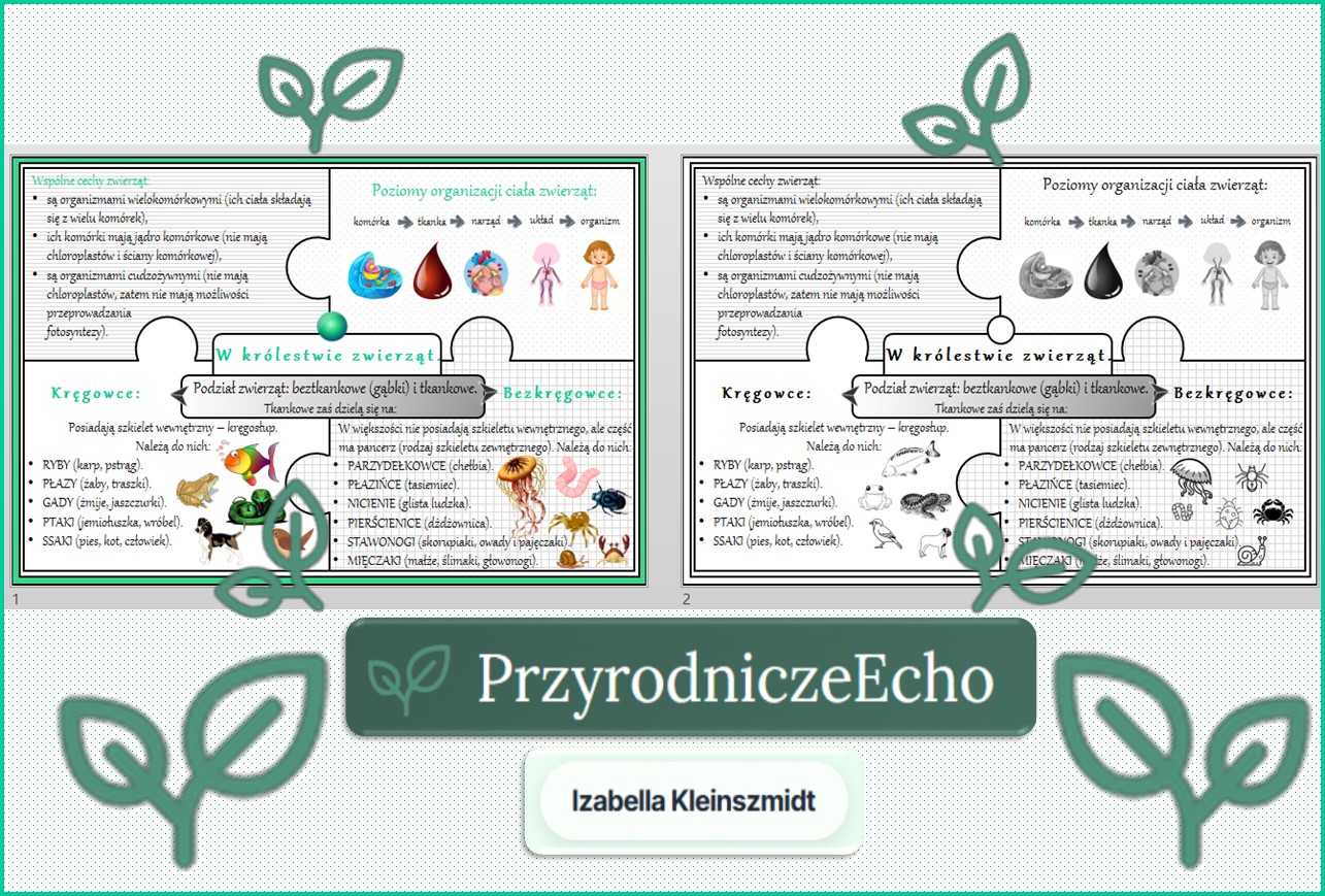 Sketchnotka/notatka „W królestwie zwierząt” w pdf. Biologia. Klasa 6. Dział „Świat zwierząt”.