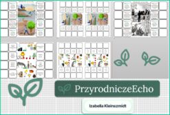 Notatki okienkowe „Składniki przyrody", "Czynności życiowe organizmów" w pdf. Przyroda. Klasa 4. Dział „Poznajemy warsztat przyrodnika”.