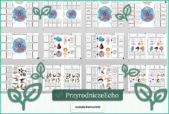 Notatka okienkowa „W królestwie zwierząt” w pdf. Biologia. Klasa 6. Dział „Świat zwierząt”.