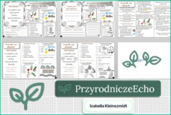 Mały zestaw na jedną lekcję: sketchnotka/notatka, karta pracy plus gratisowa prezentacja multimedialna „Przyroda i jej składniki” w pdf. Przyroda. Klasa 4. Dział „Poznajemy warsztat przyrodnika”.