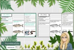 Karta pracy „Ryby - kręgowce środowiska wodnego” w pdf. Biologia. Klasa 6. Dział „Kręgowce zmiennocieplne”.