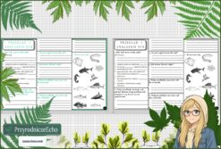 Karta pracy „Przegląd i znaczenie ryb” w pdf. Biologia. Klasa 6. Dział „Kręgowce zmiennocieplne”.