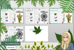 Mały zestaw na jedną lekcję: sketchnotka/notatka, karta pracy plus gratisowa prezentacja multimedialna „Przegląd i znaczenie roślin okrytonasiennych” w pdf. Biologia. Klasa 5. Dział „Różnorodność roślin”.