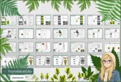 Średni zestaw na lekcje do całego działu: sketchnotki/notatki, karty pracy plus gratisowe prezentacje multimedialne w pdf. Biologia. Klasa 5. Dział „Różnorodność roślin”.