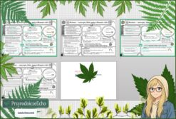 Mały zestaw na jedną lekcję: sketchnotka/notatka, karta pracy plus gratisowa prezentacja multimedialna „Nicienie - zwierzęta, które mają nitkowate ciało” w pdf. Biologia. Klasa 5. Dział „Od parzydełkowców do pierścienic”.