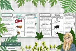 Sketchnotka/notatka „Cechy stawonogów” w pdf. Biologia. Klasa 6. Dział „Stawonogi i mięczaki”.