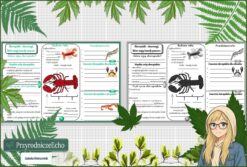 Karta pracy „Skorupiaki-stawonogi, które mają twardy pancerz” w pdf. Biologia. Klasa 6. Dział „Stawonogi i mięczaki”.