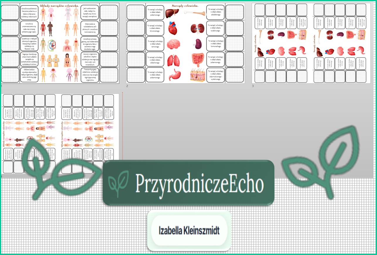Notatki Okienkowe Organizm Cz owieka Jako Funkcjonalna Ca o W Pdf Notatki Okienkowe Organizm Cz owieka Jako Funkcjonalna Ca o W Pdf