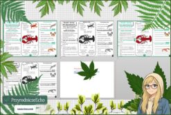 Mały zestaw na jedną lekcję: sketchnotka/notatka, karta pracy plus gratisowa prezentacja multimedialna „Skorupiaki-stawonogi, które mają twardy pancerz” w pdf. Biologia. Klasa 6. Dział „Stawonogi i mięczaki”.