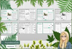 Mały zestaw na jedną lekcję: sketchnotka/notatka, karta pracy plus gratisowa prezentacja multimedialna „Owady-stawonogi zdolne do lotu” w pdf. Biologia. Klasa 6. Dział „Stawonogi i mięczaki”.