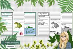 Karta pracy „Płazy - kręgowce środowiska wodno-lądowego” w pdf. Biologia. Klasa 6. Dział „Kręgowce zmiennocieplne”.