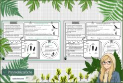 Sketchnotka/notatka „Ptaki-kręgowce zdolne do lotu” w pdf. Biologia. Klasa 6. Dział „Kręgowce stałocieplne”.