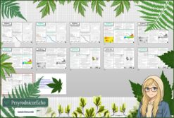 Średni zestaw na lekcje do całego działu: sketchnotki/notatki, karty pracy plus gratisowe prezentacje multimedialne w pdf. Geografia. Klasa 5. Dział „Mapa Polski”.