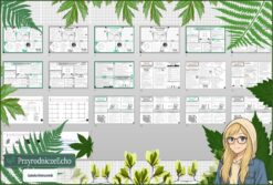 Średni zestaw na lekcje do całego działu: sketchnotki/notatki, karty pracy plus gratisowe prezentacje multimedialne w pdf. Geografia. Klasa 6. Dział „Współrzędne geograficzne”.