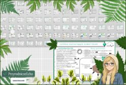 Średni zestaw na lekcje do całego działu: sketchnotki/notatki, karty pracy plus gratisowe prezentacje multimedialne w pdf. Geografia. Klasa 7. Dział „Środowisko przyrodnicze Polski”.