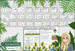 Średni zestaw na lekcje do całego działu: sketchnotki/notatki, karty pracy plus gratisowe prezentacje multimedialne w pdf. Geografia. Klasa 8. Dział „Azja”.