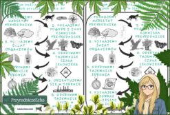 O czym będziemy się uczyć na lekcjach przyrody w klasie 4? – wklejki do zeszytu. Materiał w pdf.