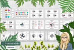 Pomysł na lekcję/pomysł na projekt/układanka/ materiał do lekcji do tematu „Określamy kierunki geograficzne” w pdf. W gratisie niekomercyjny scenariusz lekcji/pomysł na lekcję w programie genial.ly do edycji. Na podstawie wydawnictwa Nowa Era. Przyroda 4. Dział „Poznajemy warsztat przyrodnika”.