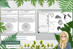 Pomysł na lekcję/pomysł na projekt/układanka/ materiał do lekcji do tematu „Wyznaczamy kierunek północny za pomocą gnomonu i przyrody” w pdf. W gratisie niekomercyjny scenariusz lekcji/pomysł na lekcję w programie genial.ly do edycji. Na podstawie wydawnictwa Nowa Era. Przyroda 4. Dział „Poznajemy warsztat przyrodnika”.