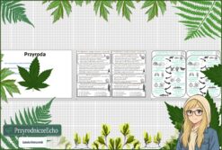 Zajęcia organizacyjne na lekcję przyrody. "Zasady oceniania", "O czym będziemy się uczyć?". Plik w pptx do edycji. Gratisowe linki do prezentacji multimedialnych w genial.ly do edycji.