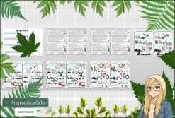 Zajęcia organizacyjne na lekcje geografii w klasach 5-8. "Zasady oceniania", "O czym będziemy się uczyć?". Plik w pptx do edycji. Gratisowe linki do prezentacji multimedialnych w genial.ly do edycji.