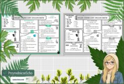 Sketchnotka/notatka „Skład chemiczny organizmów” w pdf. Biologia. Klasa 5. Dział „Budowa i czynności życiowe organizmów”.