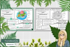 Sketchnotka/notatka „Budowa komórki zwierzęcej” w pdf. Biologia. Klasa 5. Dział „Budowa i czynności życiowe organizmów”.