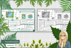 Sketchnotka/notatka „Komórka roślinna” w pdf. Biologia. Klasa 5. Dział „Budowa i czynności życiowe organizmów”.