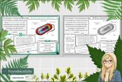 Sketchnotka/notatka „Komórka bakterii” w pdf. Biologia. Klasa 5. Dział „Budowa i czynności życiowe organizmów”.