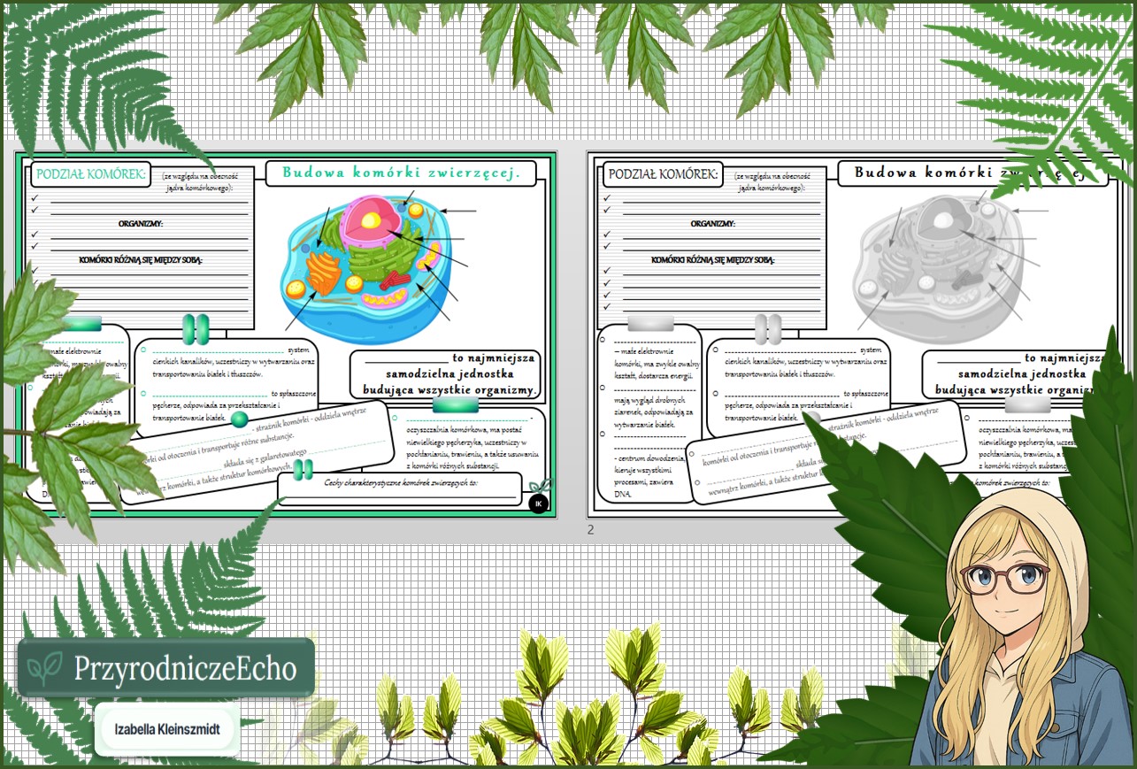 Karta pracy „Budowa komórki zwierzęcej” w pdf. Biologia. Klasa 5. Dział „Budowa i czynności życiowe organizmów”.