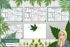 Mały zestaw na jedną lekcję: sketchnotka/notatka, karta pracy plus gratisowa prezentacja multimedialna „Skład chemiczny organizmów” w pdf. Biologia. Klasa 5. Dział „Budowa i czynności życiowe organizmów”.