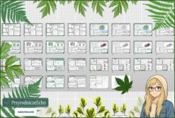 Średni zestaw na lekcje do całego działu: sketchnotki/notatki, karty pracy plus gratisowe prezentacje multimedialne w pdf. Biologia. Klasa 5. Dział „Budowa i czynności życiowe organizmów”.