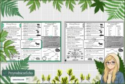 Sketchnotka/notatka „Klasyfikacja organizmów ” w pdf. Biologia. Klasa 5. Dział „Wirusy, bakterie, protisty i grzyby”.