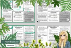Sketchnotka/notatka „Wirusy i bakterie” w pdf. Biologia. Klasa 5. Dział „Wirusy, bakterie, protisty i grzyby”.