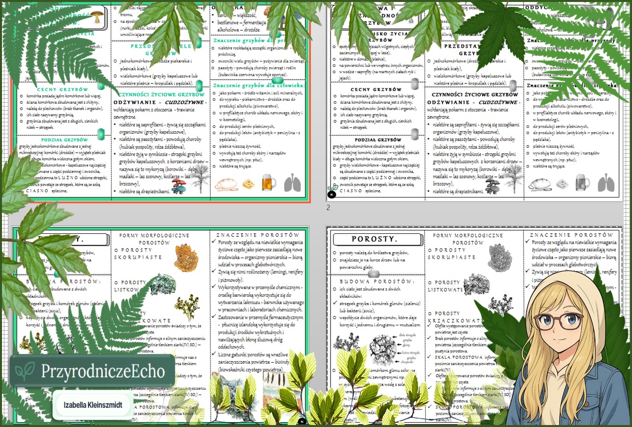Sketchnotka/notatka „Budowa i różnorodność grzybów. Porosty” w pdf. Biologia. Klasa 5. Dział „Wirusy, bakterie, protisty i grzyby”.
