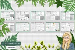 Zestaw sketchnotek/notatek w pdf. Biologia. Klasa 5. Dział „Wirusy, bakterie, protisty i grzyby ”.