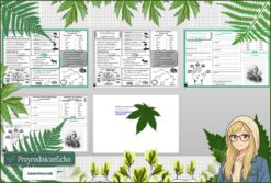 Mały zestaw na jedną lekcję: sketchnotka/notatka, karta pracy plus gratisowa prezentacja multimedialna „Klasyfikacja organizmów” w pdf. Biologia. Klasa 5. Dział „„Wirusy, bakterie, protisty i grzyby”.