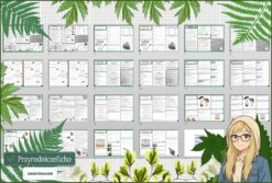 Średni zestaw na lekcje do całego działu: sketchnotki/notatki, karty pracy plus gratisowe prezentacje multimedialne w pdf. Biologia. Klasa 5. Dział „Wirusy, bakterie, protisty i grzyby ”.