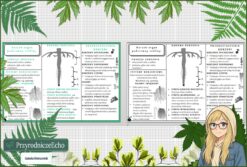 Sketchnotka/notatka „ Korzeń - organ podziemny rośliny” w pdf. Biologia. Klasa 5. Dział „Tkanki i organy roślinne”.