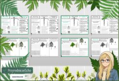Mały zestaw na jedną lekcję: sketchnotka/notatka, karta pracy plus gratisowa prezentacja multimedialna „Korzeń - organ podziemny rośliny” w pdf. Biologia. Klasa 5. Dział „Tkanki i organy roślinne ”.