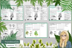 Mały zestaw na jedną lekcję: sketchnotka/notatka, karta pracy plus gratisowa prezentacja multimedialna „Pęd. Budowa i funkcje łodygi” w pdf. Biologia. Klasa 5. Dział „Tkanki i organy roślinne ”.