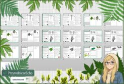 Średni zestaw na lekcje do całego działu: sketchnotki/notatki, karty pracy plus gratisowe prezentacje multimedialne w pdf. Biologia. Klasa 5. Dział „Tkanki i organy roślinne ”.
