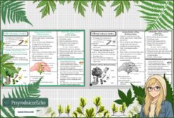 Sketchnotka/notatka „Okrytonasienne” w pdf. Biologia. Klasa 5. Dział „Różnorodność roślin”.