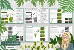 Mały zestaw na jedną lekcję: sketchnotka/notatka, karta pracy plus gratisowa prezentacja multimedialna „Mchy” w pdf. Biologia. Klasa 5. Dział „Różnorodność roślin”.