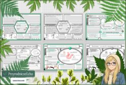 Zestaw kart pracy w pdf. Biologia. Klasa 6. Dział „Od parzydełkowców do pierścienic”.