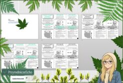 Mały zestaw na jedną lekcję: sketchnotka/notatka, karta pracy plus gratisowa prezentacja multimedialna „Rozciągłość równoleżnikowa i południkowa" w pdf. Geografia. Klasa 6. Dział „Współrzędne geograficzne”.