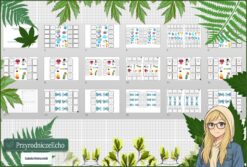 Pomysł na lekcję/pomysł na projekt/materiał do przeprowadzenia lekcji do tematu „Substancje i ich właściwości” w pdf. W gratisie niekomercyjny scenariusz lekcji/pomysł na lekcję w programie genial.ly do edycji. Na podstawie wydawnictwa MAC. Chemia 7. Dział „Substancje".