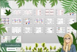 Tetralogia - zestaw: sketchnotka, karta pracy, materiały do przeprowadzenia lekcji, pomysł na lekcję do tematu „Zasady bezpiecznej pracy na lekcjach chemii” w pdf. W gratisie niekomercyjne: prezentacja multimedialna oraz scenariusz lekcji/pomysł na lekcję w programie genial.ly do edycji. Na podstawie wydawnictwa MAC. Chemia 7 . Dział „Substancje".