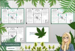 Mały zestaw na jedną lekcję: sketchnotka/notatka, karta pracy plus gratisowa prezentacja multimedialna „Położenie i granice Polski" w pdf. Geografia. Klasa 7. Dział „Środowisko przyrodnicze Polski”.